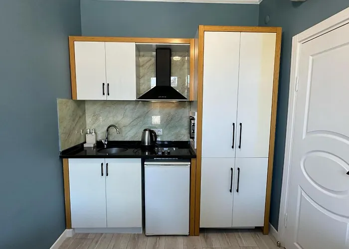 公寓式酒店 Dizayn