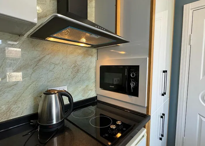 公寓式酒店 Dizayn *